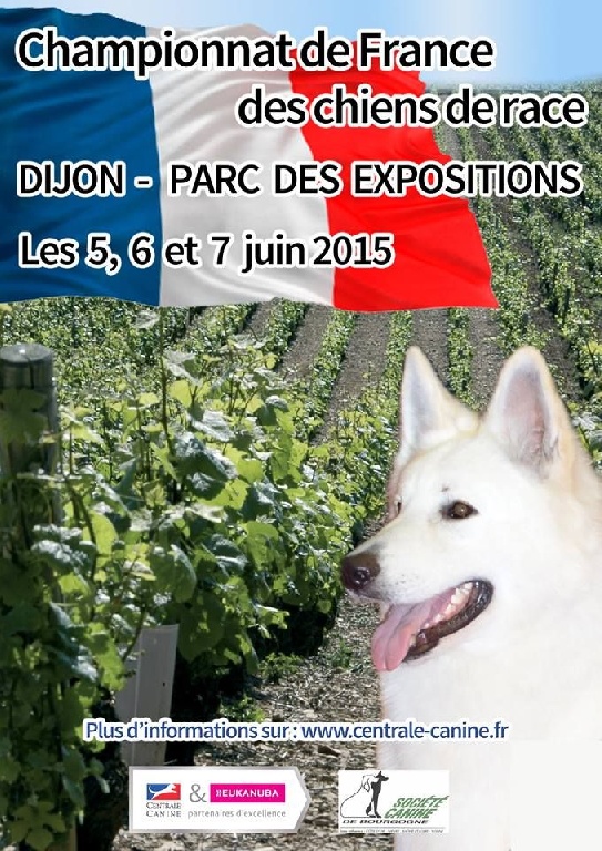 of Jadugo - Dijon...Championnat de France SCC...
