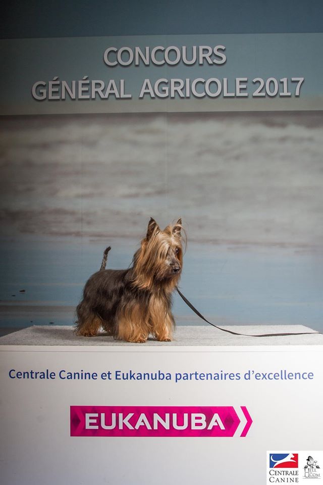 of Jadugo - Concours Général Agricole...CGA 2017