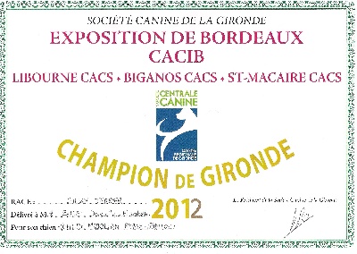 of Jadugo - Bordeaux..1ère Expo/Intern. 2013....